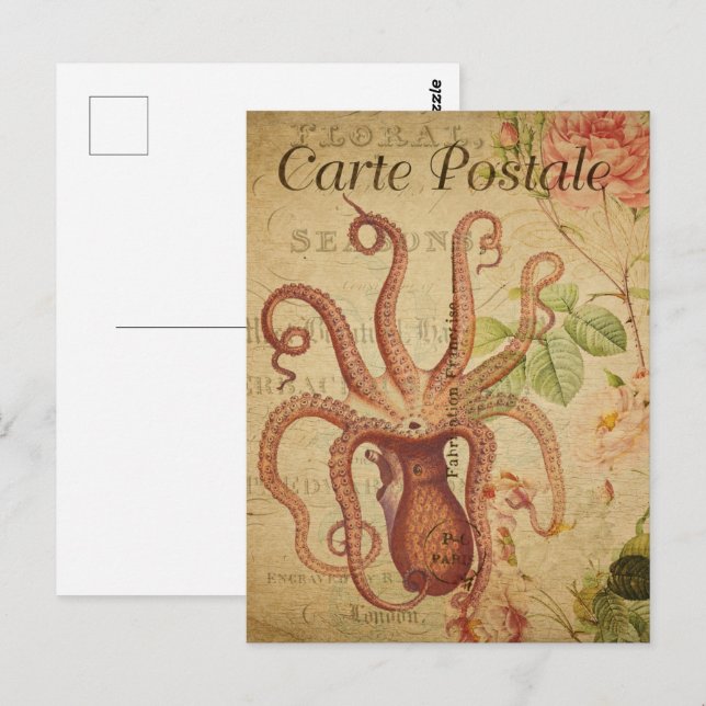 Vintage Red Octopus  Postcard (Front/Back)