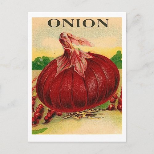 vintage red onion seed packet postcard