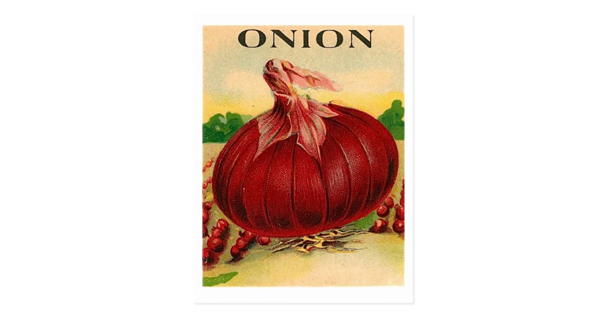 vintage red onion seed packet postcard zazzle office party invites