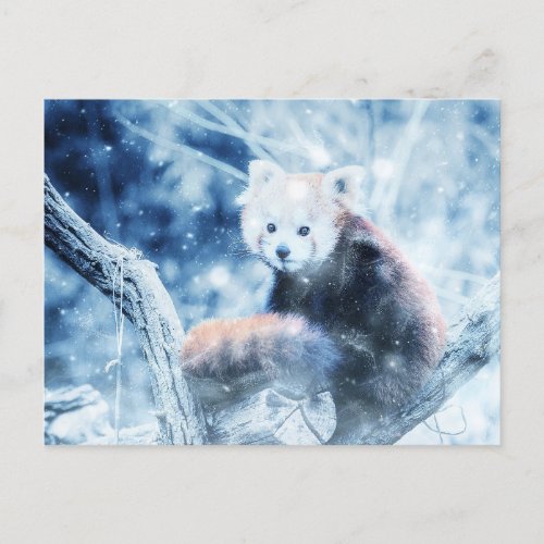 Vintage Red Panda In The Snow  Holiday Postcard