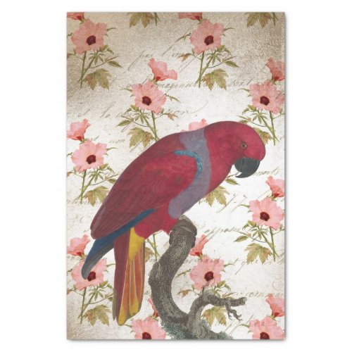 Vintage Red Parrot Tissue Paper