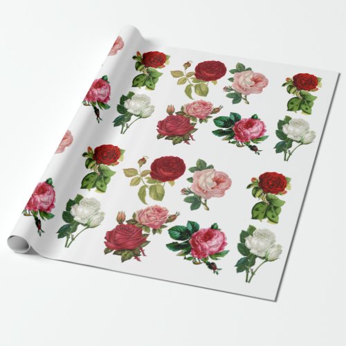 Vintage Red Pink and White Rose Wrapping Paper