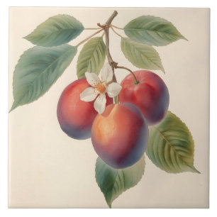 Vintage Red Plum Fruit Branch with Plum Blossom  Ceramic Tile