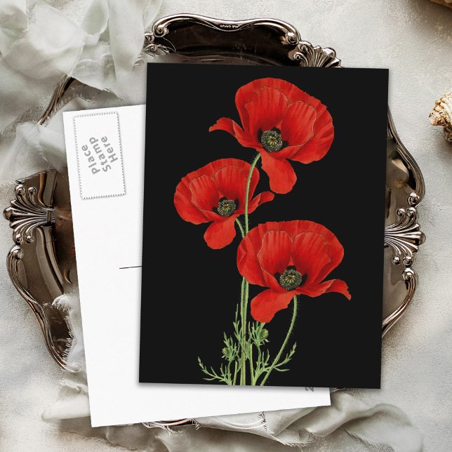 Vintage Red Poppies Botanical Postcard (Creator Uploaded)