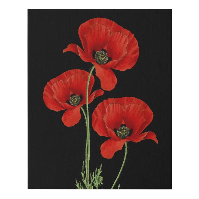 Vintage Red Poppies Botanical Print (Front)