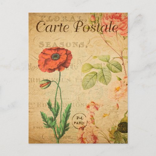 Vintage Red Poppy Flower Floral French Postcard