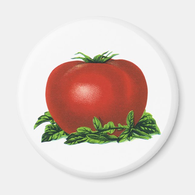 Vintage Red Ripe Tomato, Vegetables and Fruits Magnet (Front)