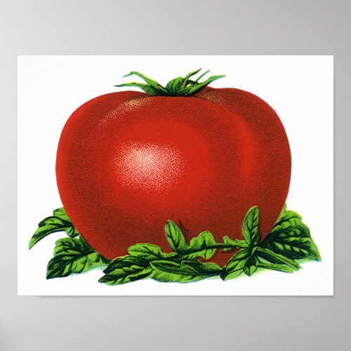 Vintage Red Ripe Tomato Vegetables and Fruits Poster