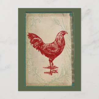 Vintage Red Rooster Shabby Chic Grunge Chicken Postcard