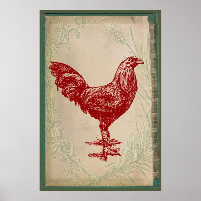 Vintage Red Rooster Shabby Chic Grunge Chicken Poster (Front)