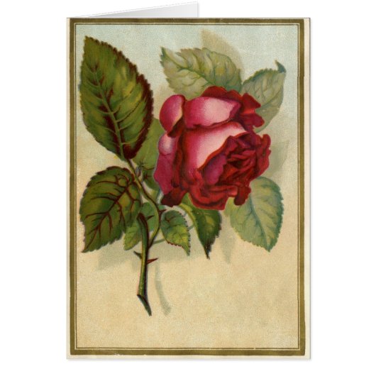 Vintage Red Rose Cards (Front)