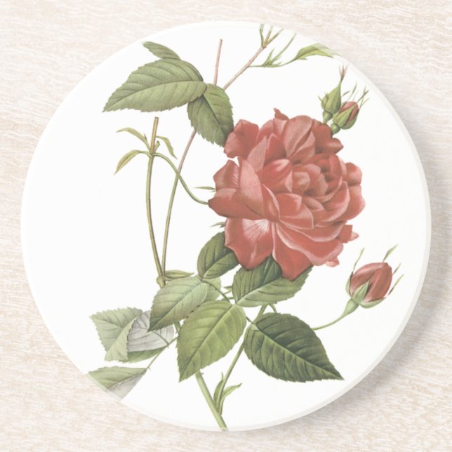 Vintage Red Rose Drink Coaster (Front)
