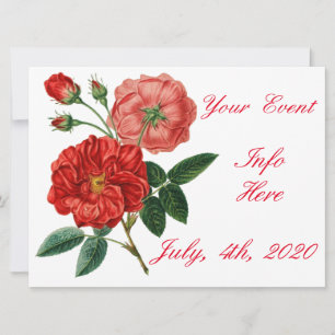 Vintage Red Rose Illustration Thunder_Cove