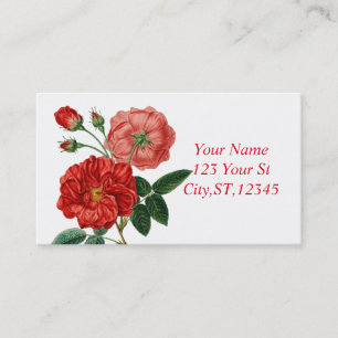 Vintage Red Rose Illustration Thunder_Cove Business Card
