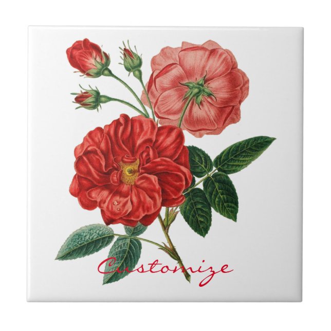 Vintage Red Rose Illustration Thunder_Cove Ceramic Tile (Front)