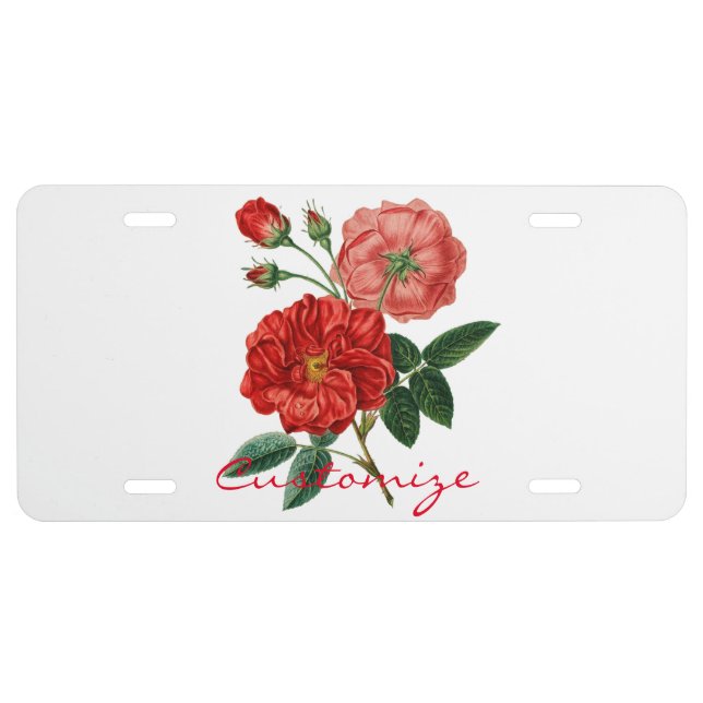 Vintage Red Rose Illustration Thunder_Cove License Plate (Front)