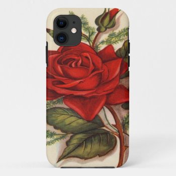 Vintage  Red Rose Iphone 5 Barely There Case by esoticastore at Zazzle