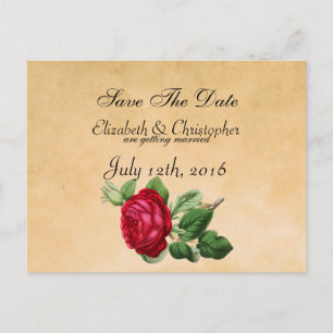 Vintage Red Rose on Faux Parchment Save The Date Announcement Postcard
