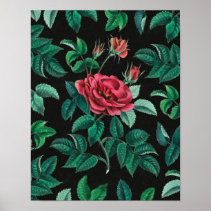 Vintage Red Rose Poster