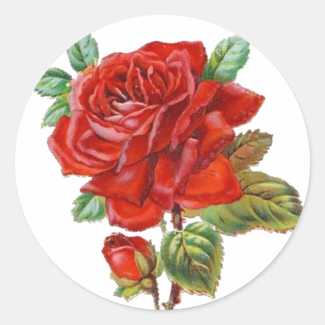 Vintage Red Rose sticker (Front)