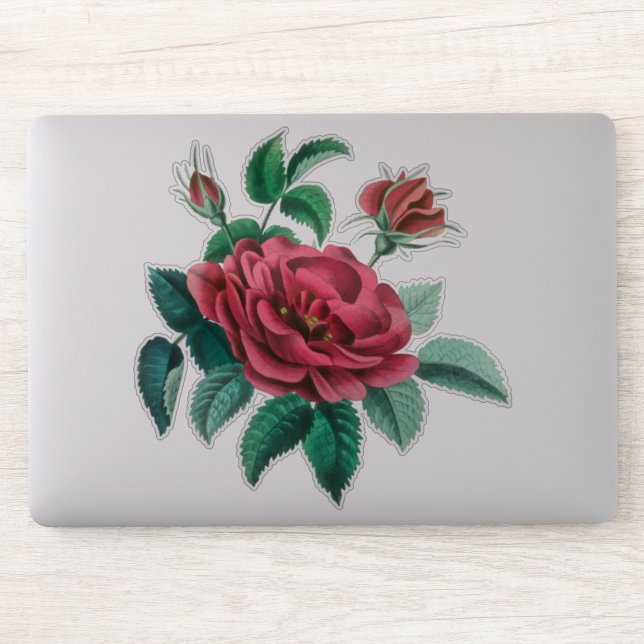 Vintage Red Rose Sticker (Computer)