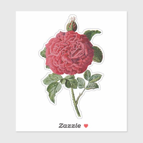 VINTAGE RED ROSE TRANSPARENT STICKER