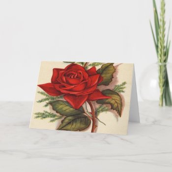 Vintage  Red Rose  Wife Birthday Card by esoticastore at Zazzle