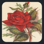 Vintage, Red Rose, Wife Birthday Square Sticker<br><div class="desc">Vintage,  Red Rose,  Wife Birthday. Image used on this item is licensed by www.butterflywebgraphics.com</div>