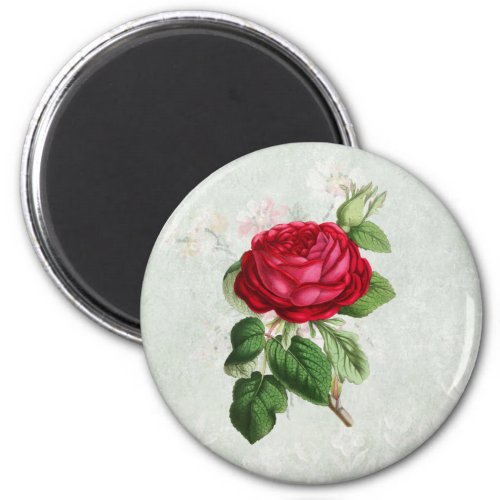 Vintage Red Rose with Foliage Magnet