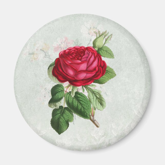 Vintage Red Rose with Foliage Magnet (Front)