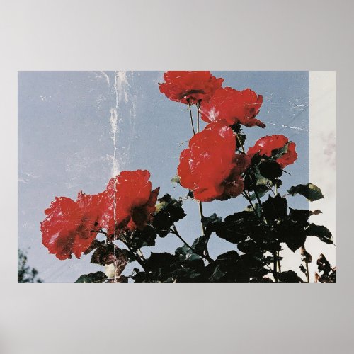 Vintage Red Roses Against a Blue Sky Poster