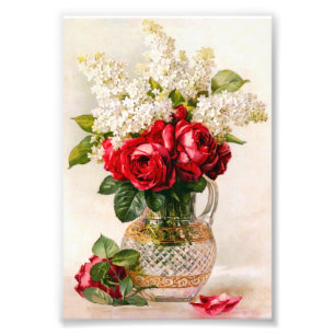 Vintage Red Roses and Baby’s Breath Photo Print