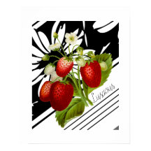 Vintage Red Strawberries Black White Graphic