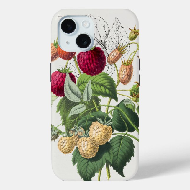 Vintage Red Strawberry Art Case-Mate iPhone Case (Back)