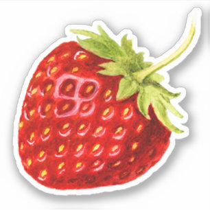 Vintage Red Strawberry Fruit Sticker