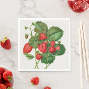 Vintage Red Strawberry With Green Leaves  Napkins