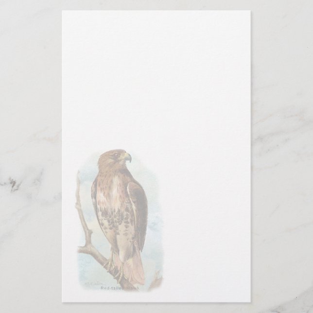Vintage Red Tailed Hawk Stationery (Front)