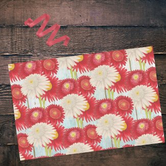 Vintage Red White Pyrethum Daisies Sky Blue Fence