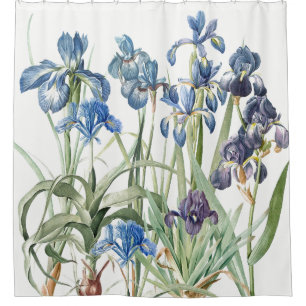 Vintage Redoute Iris Flower Garden Shower Curtain