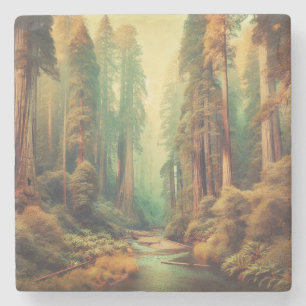 Vintage Redwood National Park California Stone Coaster