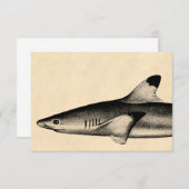 Vintage Reef Shark Illustration Black Tipped (Front/Back)