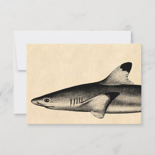 Vintage Reef Shark Illustration Black Tipped Custom Announcements