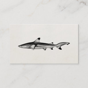 Vintage Reef Shark Illustration - Black Tipped Business Card