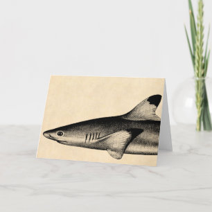 Vintage Reef Shark Illustration Black Tipped Card