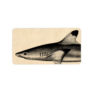 Vintage Reef Shark Illustration Black Tipped Label