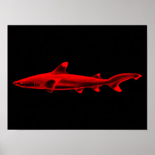 Vintage Reef Shark Illustration Red Black Sharks Poster