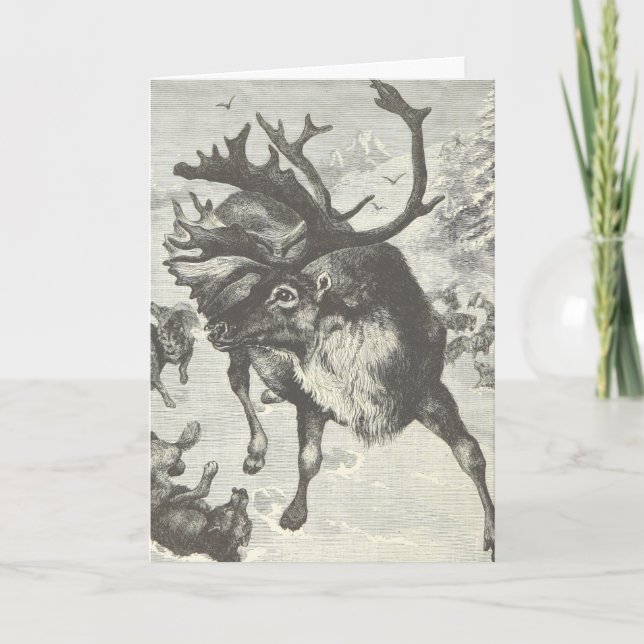 Vintage Reindeer Drawing Holiday Christmas Cards (Front)