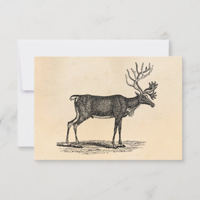 Vintage Reindeer Illustration - 1800's Christmas Invitation (Front)
