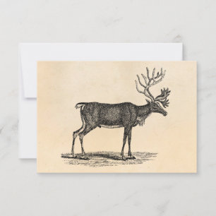 Vintage Reindeer Illustration - 1800's Christmas Invitation