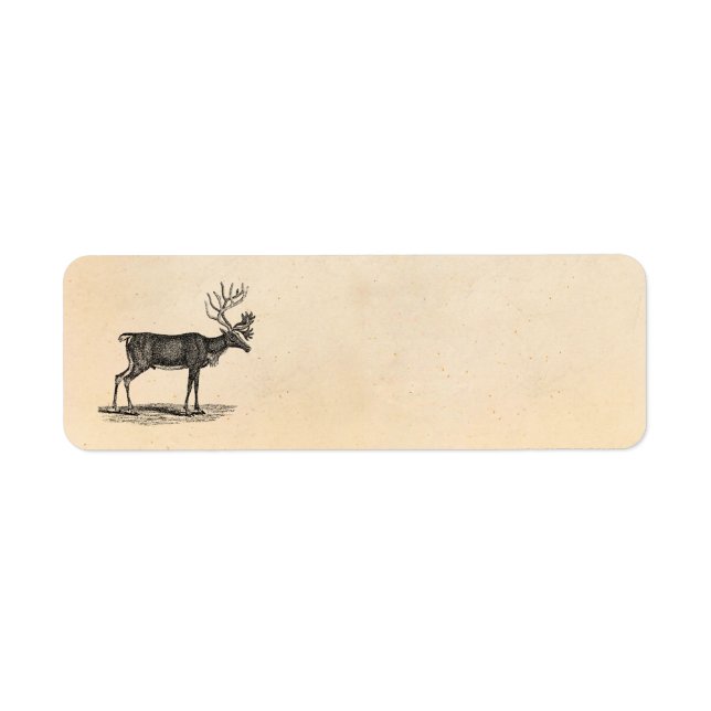 Vintage Reindeer Illustration - 1800's Christmas Label (Front)